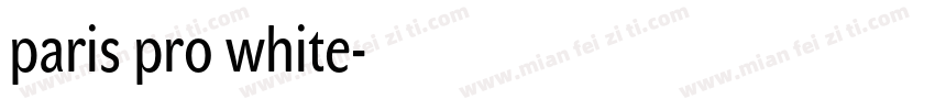 paris pro white字体转换